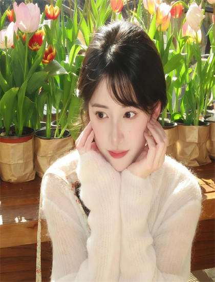 深入《有名歌手传》的世界：全面解读与深度分析